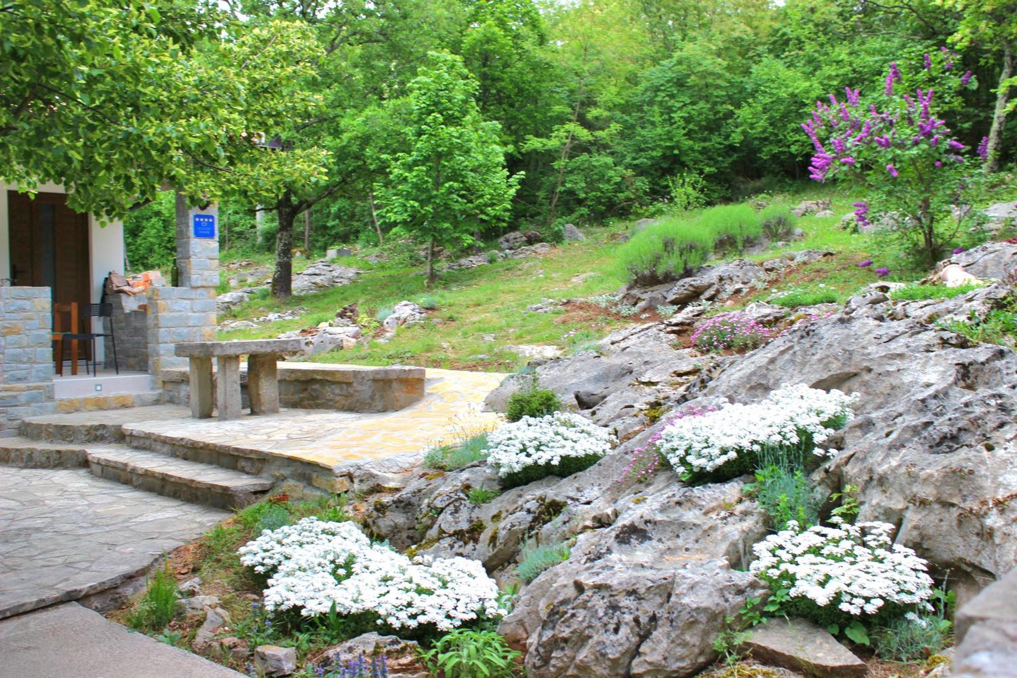 Roč Holiday Home Deni מראה חיצוני תמונה